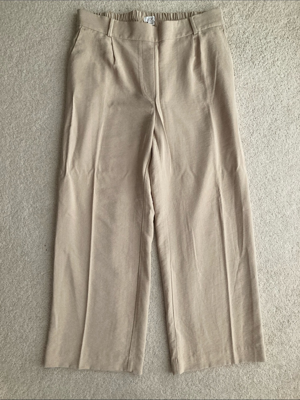 Loft rayon and nylon blend pants